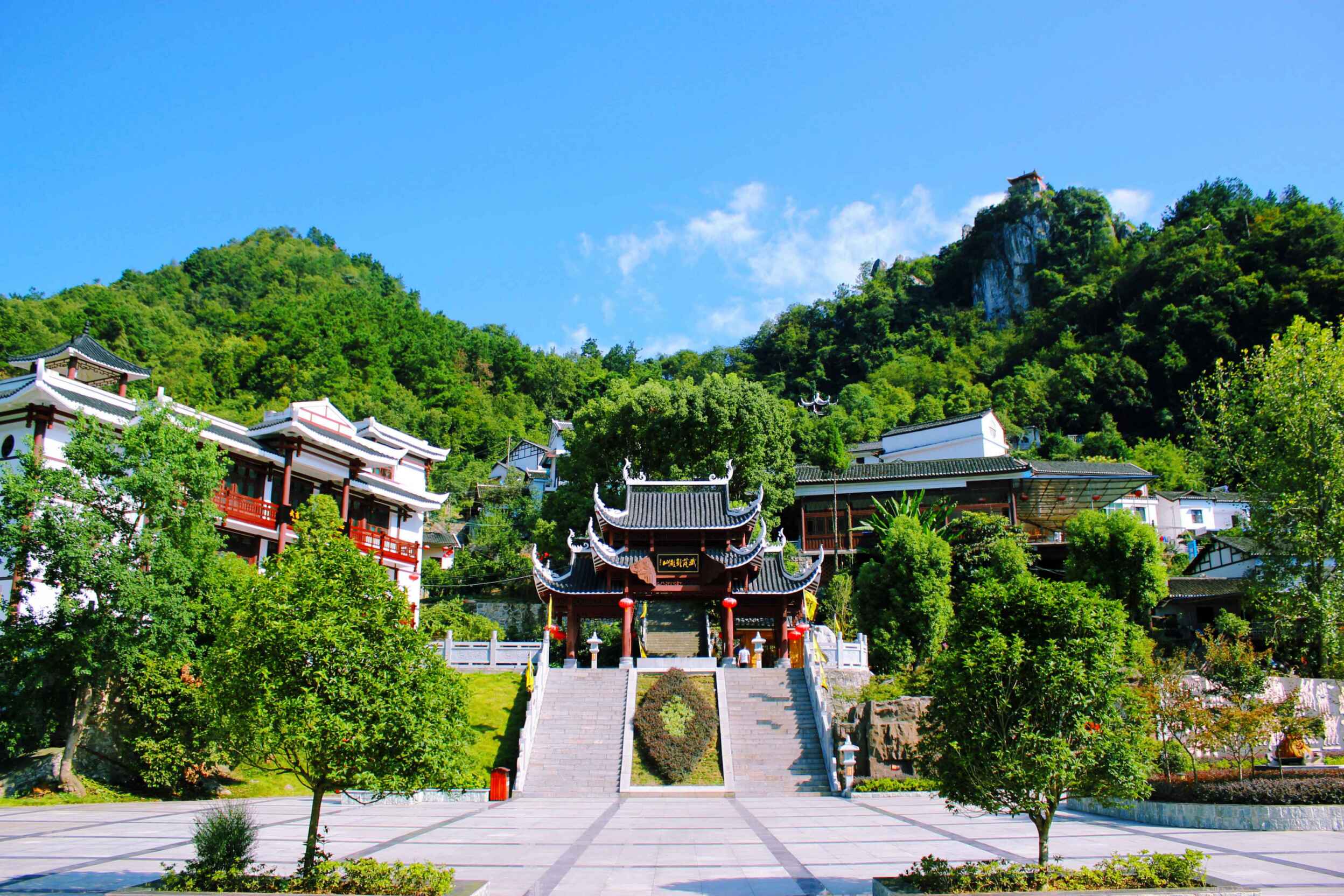照片3