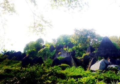 三峡大坝旅游团报名 坐船去三峡大坝一日游（两坝一峡游船+西陵峡风光+三峡大坝）