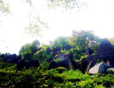 三峡大坝旅游团报名 坐船去三峡大坝一日游（两坝一峡游船+西陵峡风光+三峡大坝）