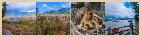 好旅伴国旅导航_副本