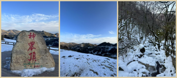 神农架连图12_副本