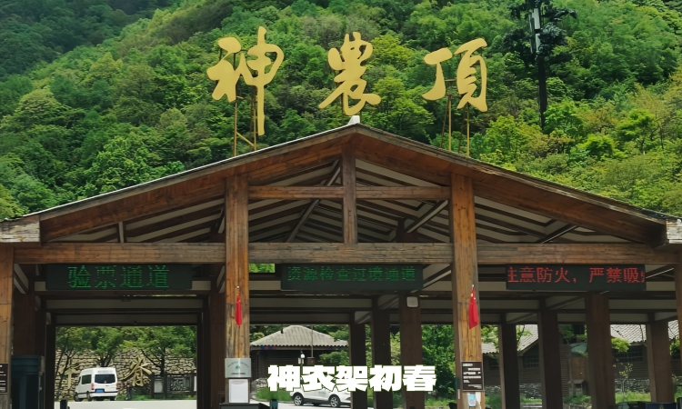 神农顶我游宜昌网